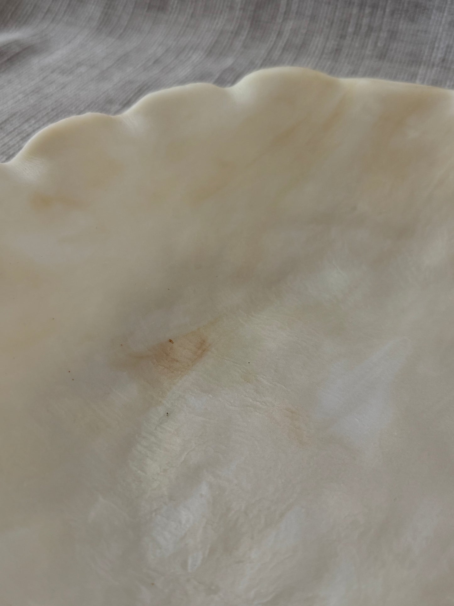Scalloped Bowl